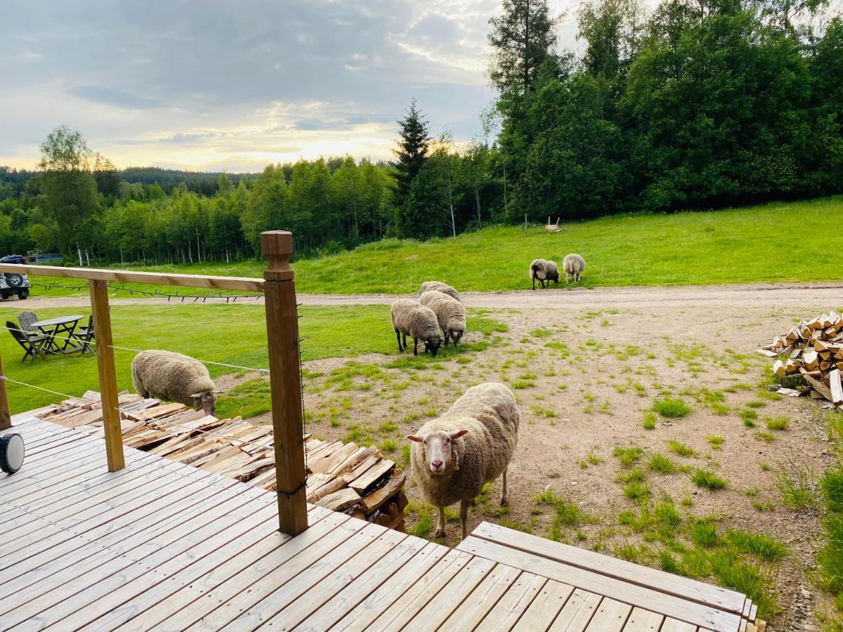 Adventure Guesthouse Sweden In Rural Area Sunne Exterior foto